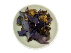 Blaue Lilie / Blauer Lotus