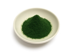 Chlorella Pulver BIO