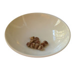 Hawaiianische Holzrose