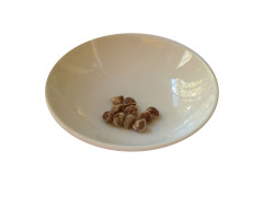 Hawaiianische Holzrose