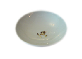 Catha edulis - Khat Samen